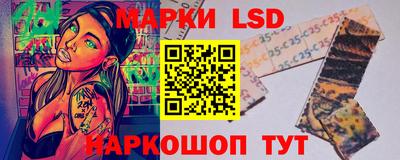 МДПВ Добрянка