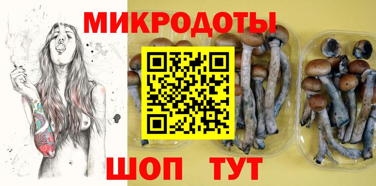 Электрогорск  Галлюциногенные грибы прущие грибы  Вход с VPN 